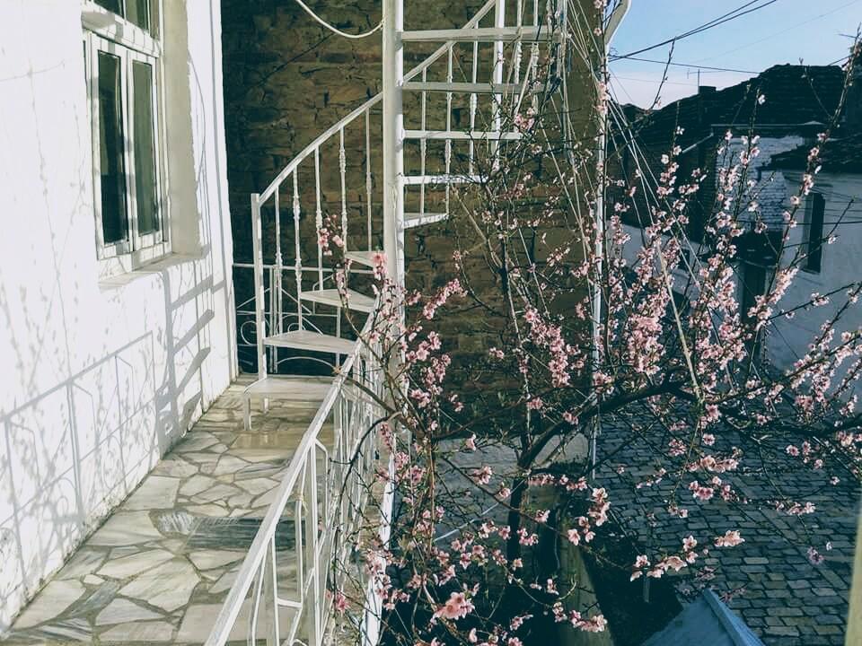 Small Room For Two In Private Villa Korça Exteriör bild